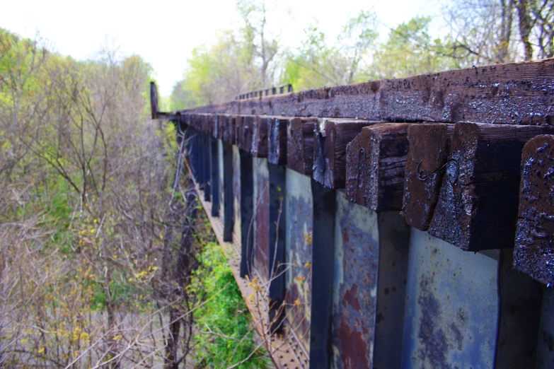 rusted old rail road bridges crossing the trees