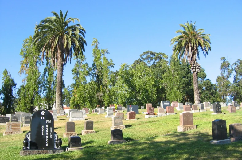 several headstones at a headstone area of many trees