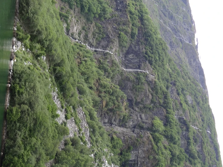 a green mountain and blue water near a forest