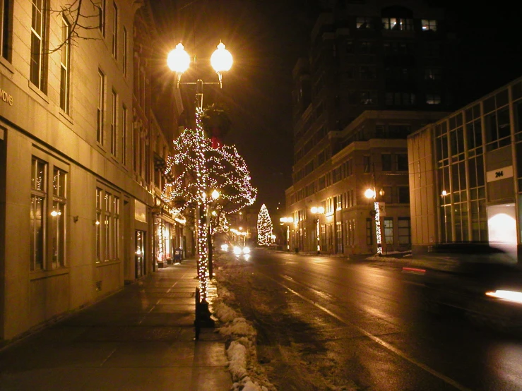 a tree that is on the side of the street