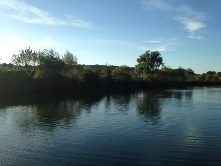 an expansive, still flowing body of water in the wilderness