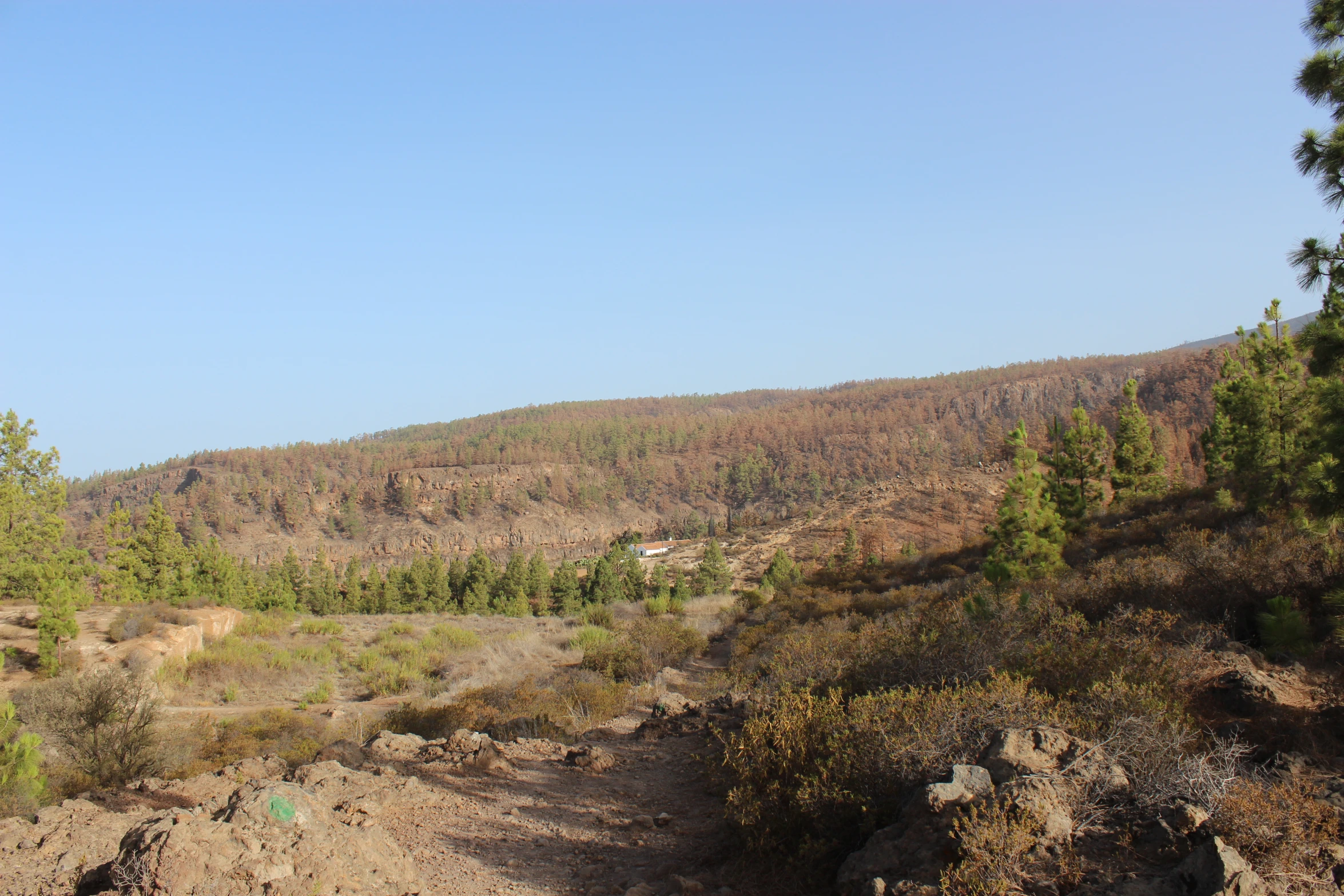 a road going through the mountains in a rocky wilderness