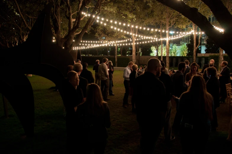 a crowd of people standing in the shade under trees