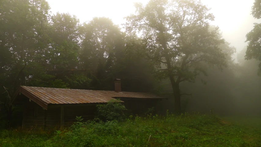 a cabin nestled in the woods during the day