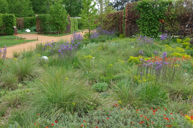 an open area with many plants and flowers in it