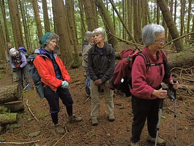 some people in the woods walking together