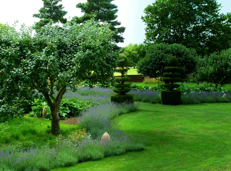 this is the garden with many bushes and trees