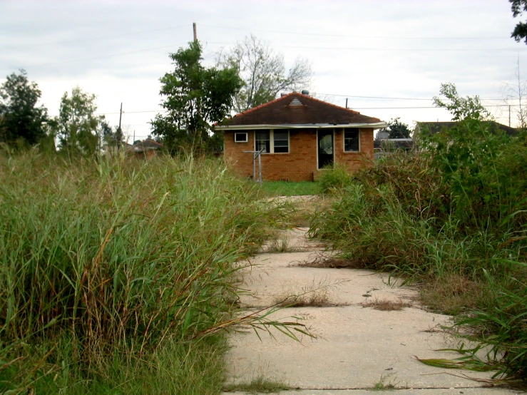 the house is on the corner and overgrown by the bushes