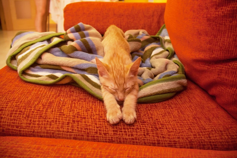 cat sleeping on colorful blankets on couch with red chair