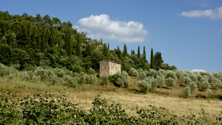 an old building sitting in a green field surrounded by tall trees