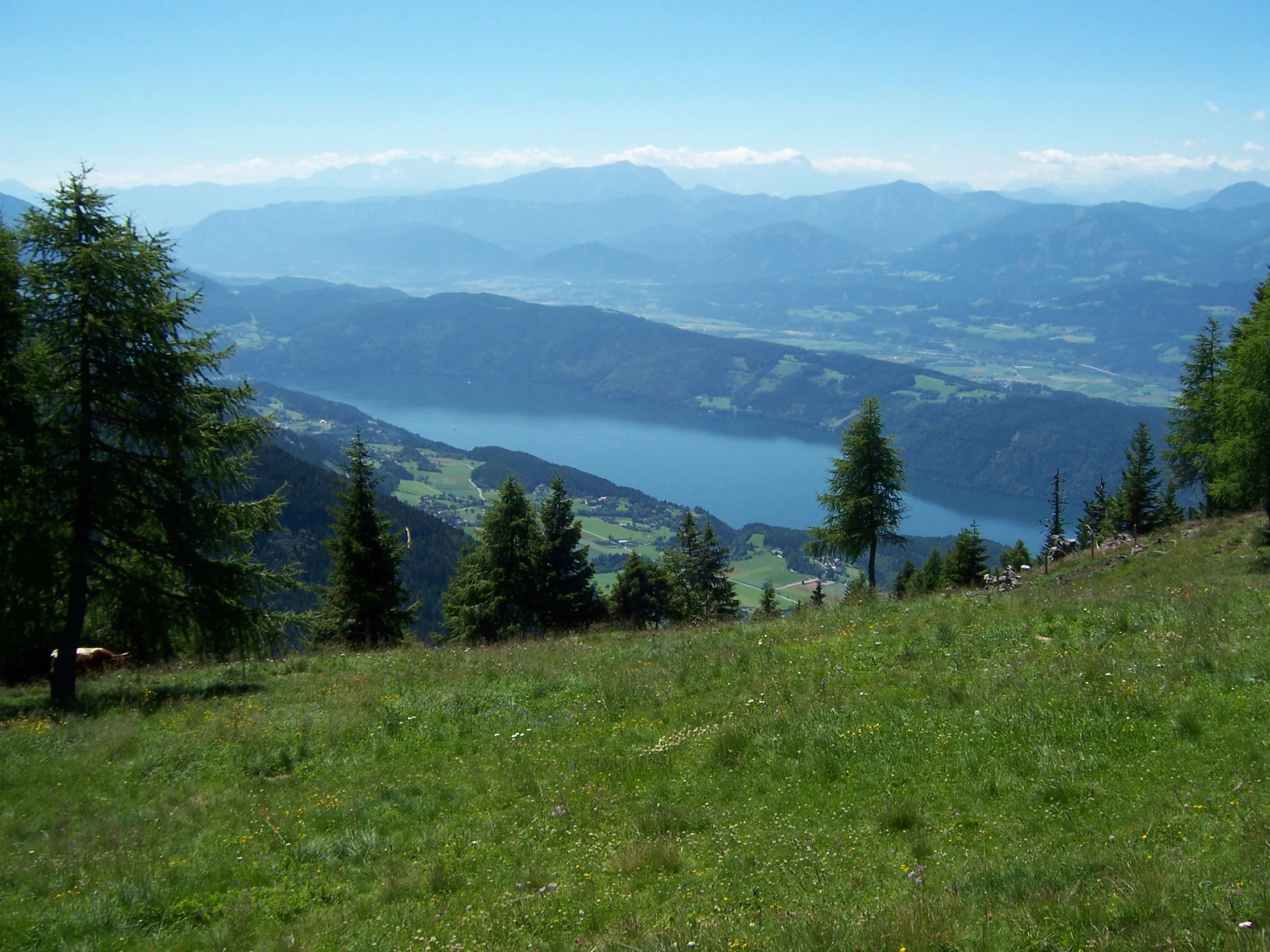 a grassy hill on a large body of water