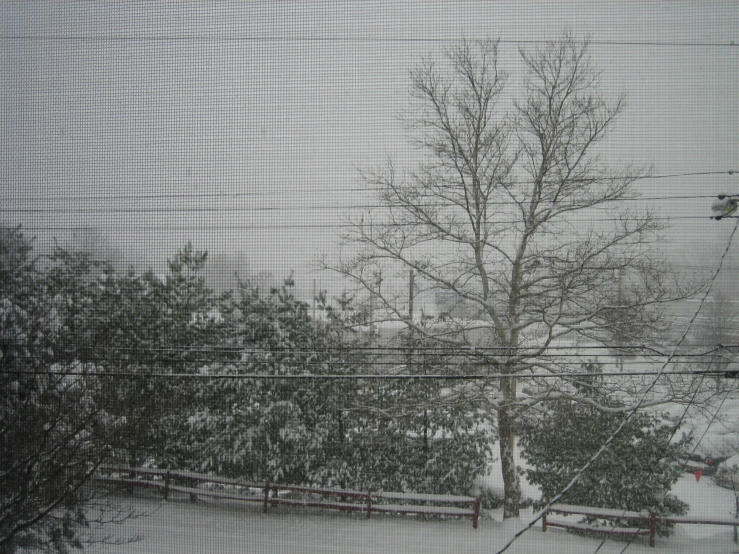 a snowy landscape is pictured through an electrical wire