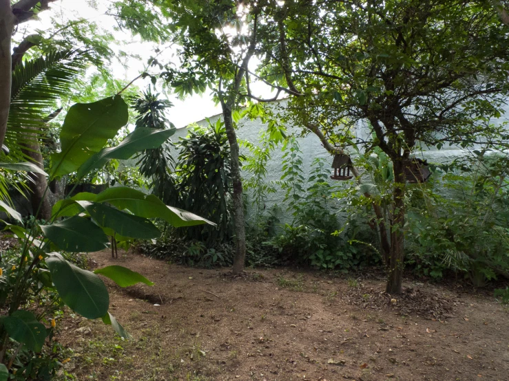 dirt path and forest on both sides of body of water