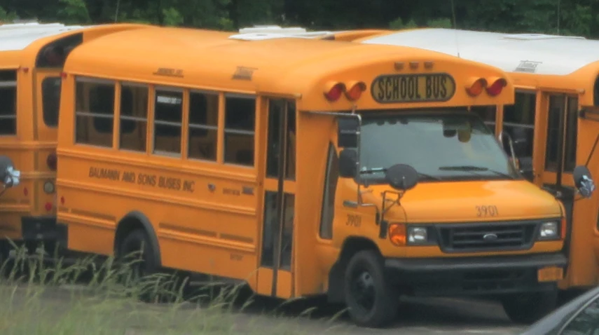 several school buses parked near each other outside