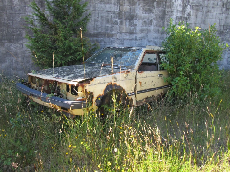 an old rusty pick up truck out in a grassy field