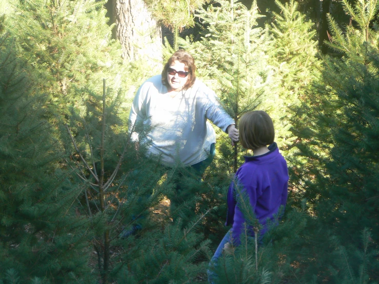 two people walking through the woods with pine trees