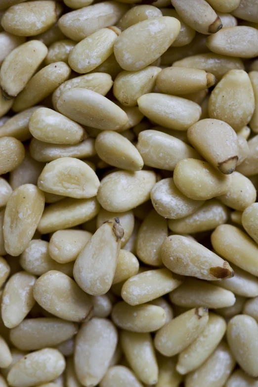 seeds are shown close together with the top grain