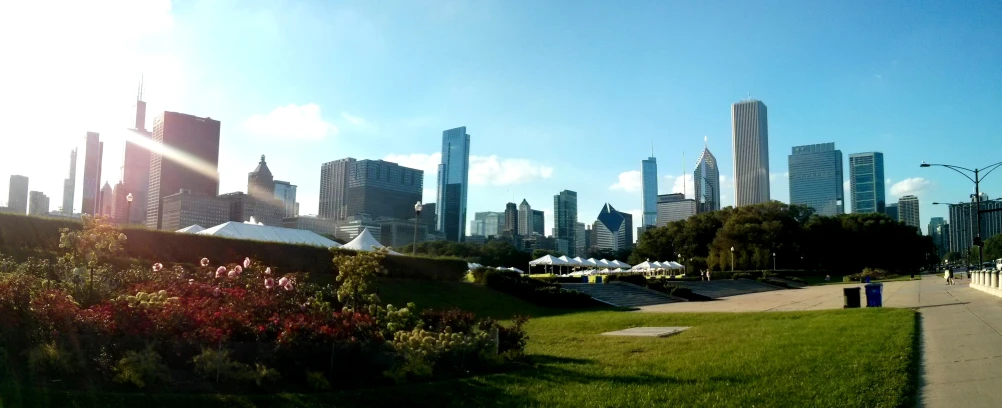 the city skyline, as seen from the park on a sunny day