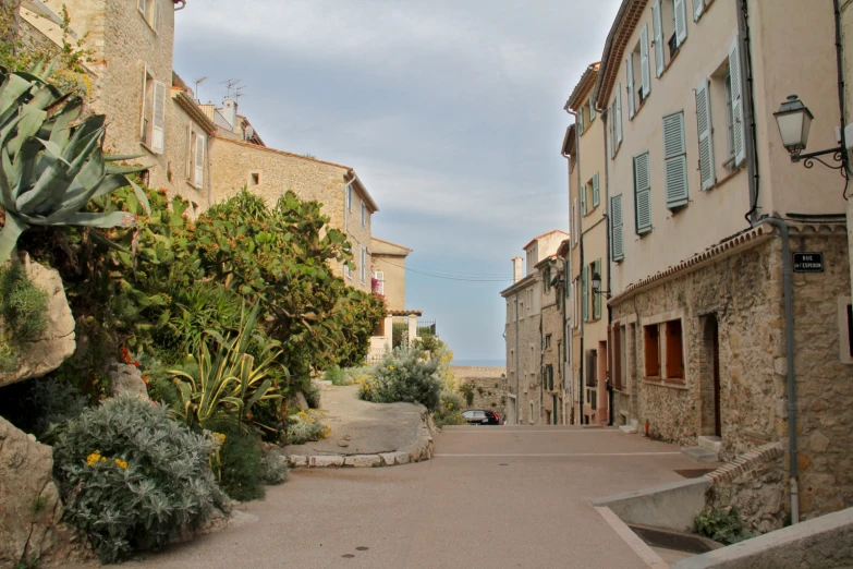 an empty street with tall buildings and flowers