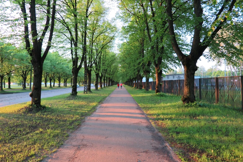 this road is empty of people on it