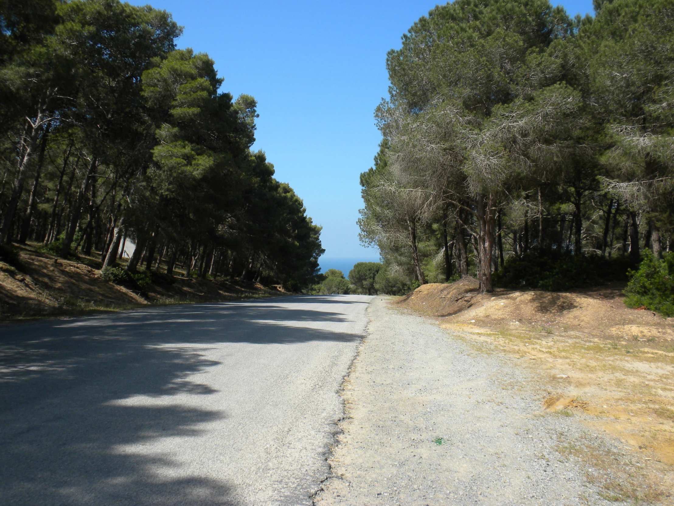 the road is deserted and quiet on this day