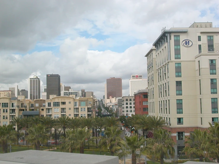 a large city skyline has many palm trees