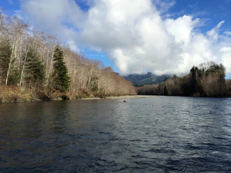 the view of a river surrounded by trees with blue sky and clouds