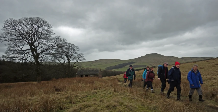 a group of people walking in the grass near trees