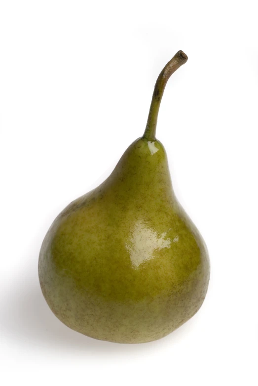 an eggplant pear with a brown stem on a white background