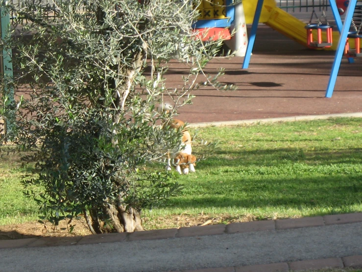 a child's playground with play ground, swings and trees