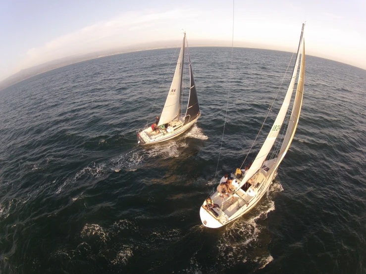 two sailboats with white sails in the open ocean