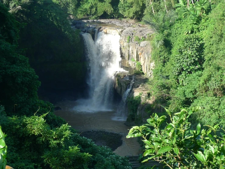 a waterfall in the middle of a forest is shown