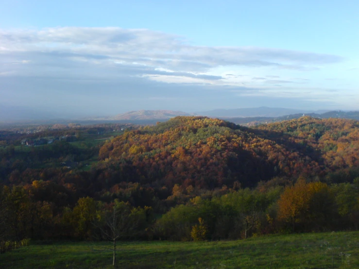 an overcast sky and a hillside covered in fall colors