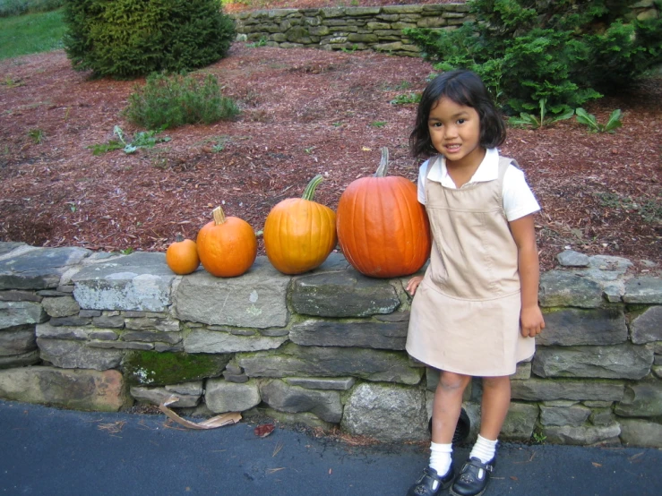 the little girl is standing in front of pumpkins