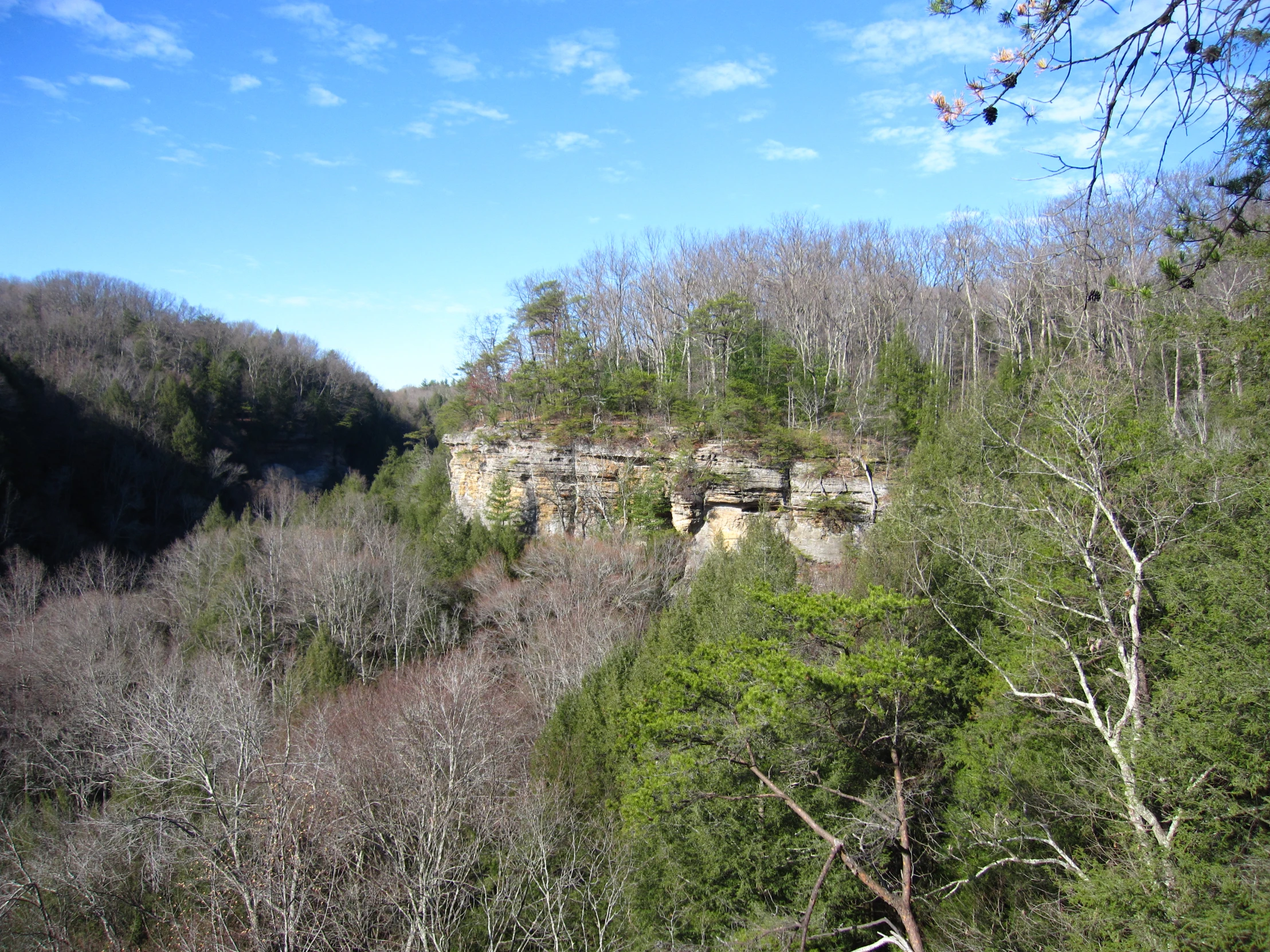 the view shows green trees and a cliff with rocks on it