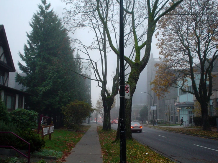 a road going up a hill on a foggy day