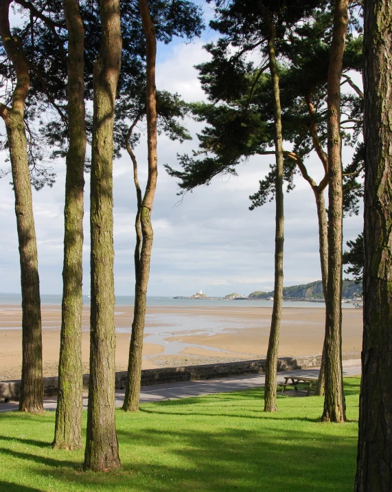 a park with grass and some trees in front of the water