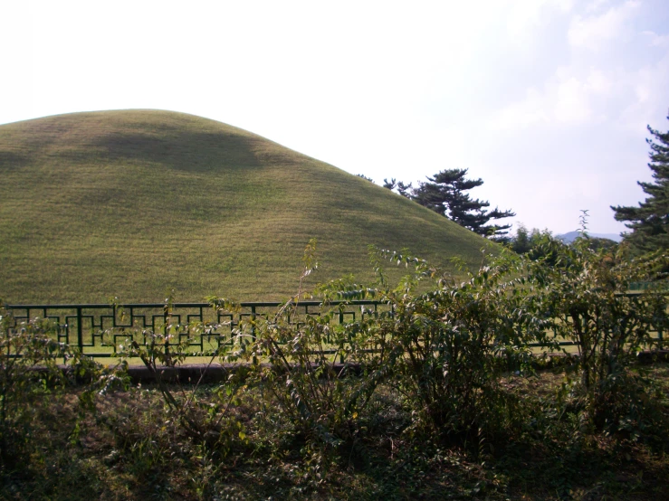 a bench with green grass on top