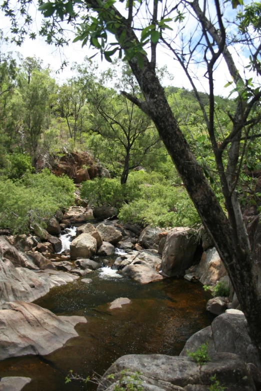 river running between rocks and green forest