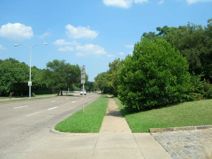 a deserted street in the middle of a park