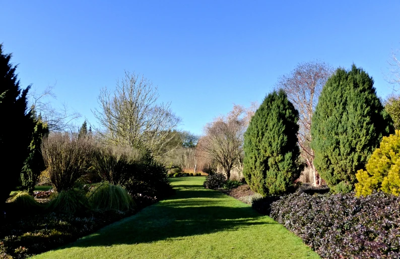 the back side of a field covered in bushes