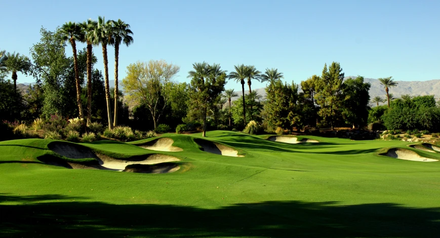 a golf course in the middle of trees and palm trees