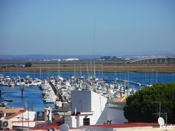 the marina is full of boats and people