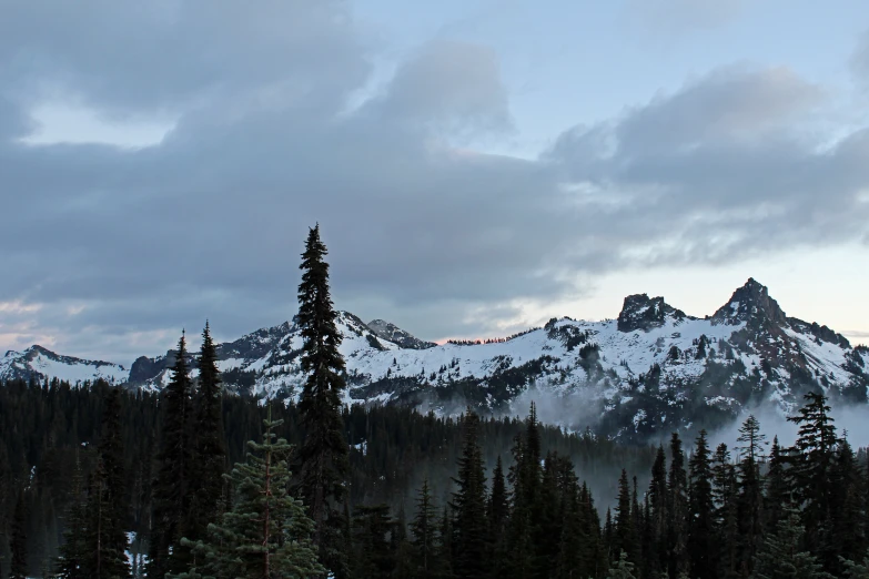 a mountain is seen behind pine trees