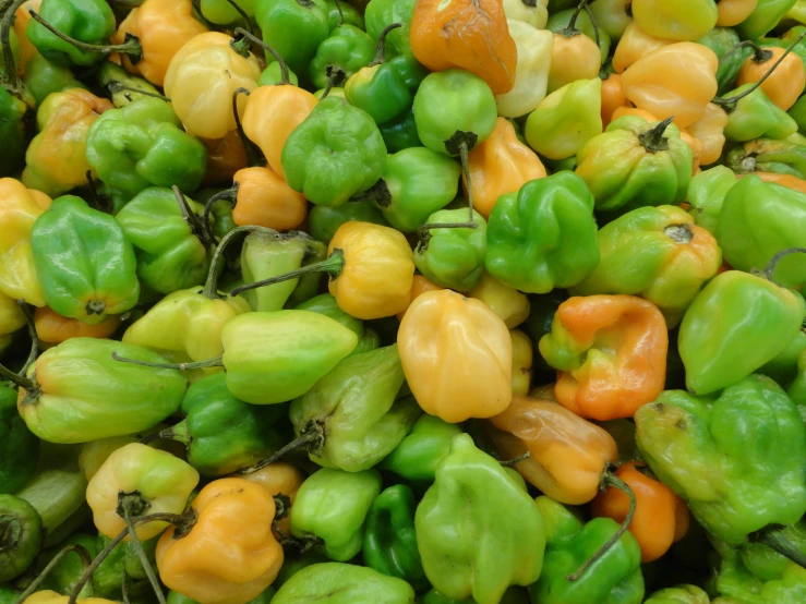 a bunch of green and orange peppers on a pile