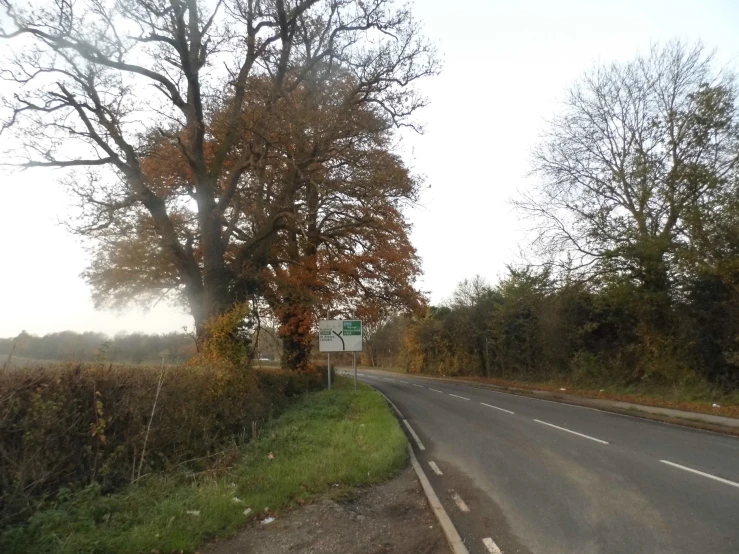 there is a tree on the side of the road