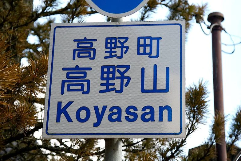 a white sign with oriental writing underneath a tree