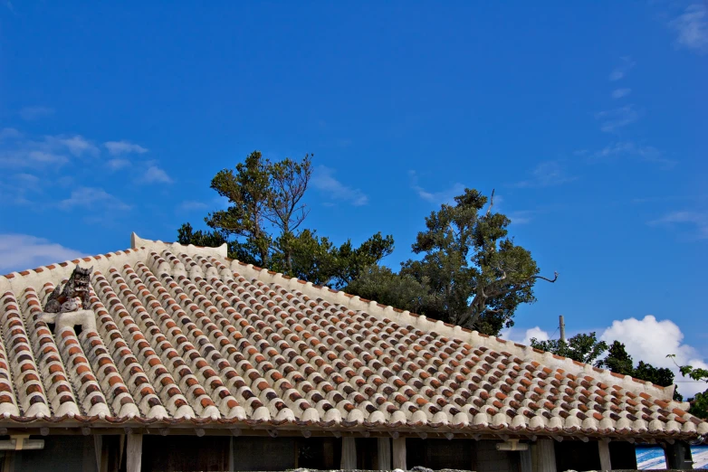 roof tiles on a building with some trees in the background