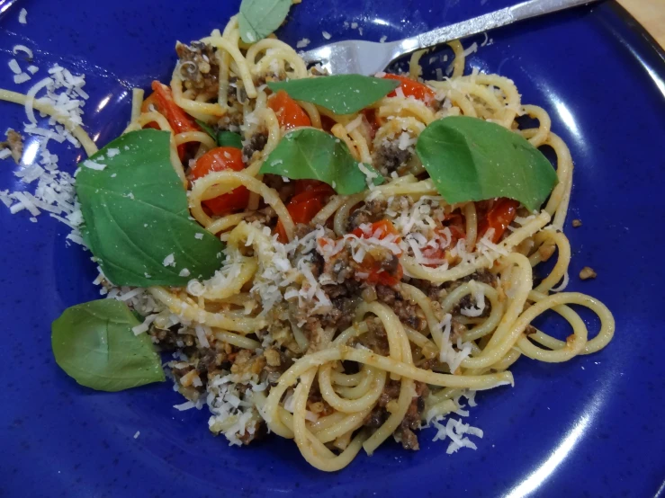 a blue plate of pasta with spinach and tomatoes