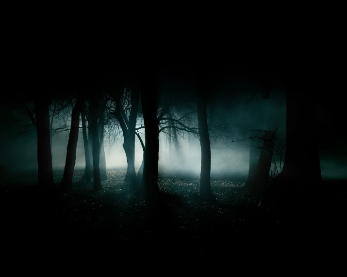 dark landscape, with fog and leaves covering the ground